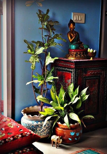 Alcove_Green in Indian Home Decor