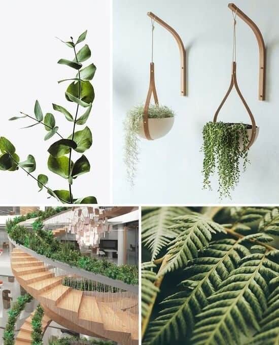 biophilia-interior-design