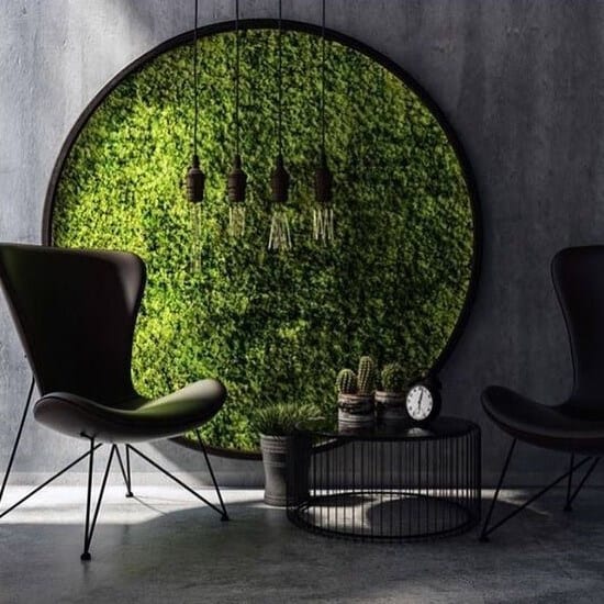 ornate-succulents-interior-decor